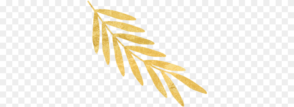 Download Gold Leaf Transparent Gold Leaf, Tree, Plant, Herbal, Herbs Free Png