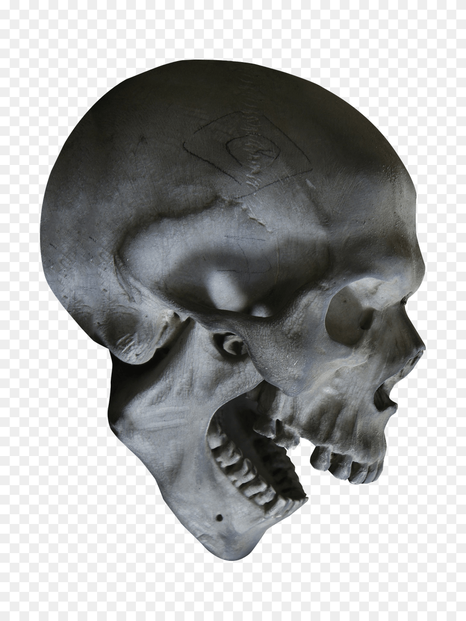 Download Free Halloween Skull Skull Head, Person, Face Png