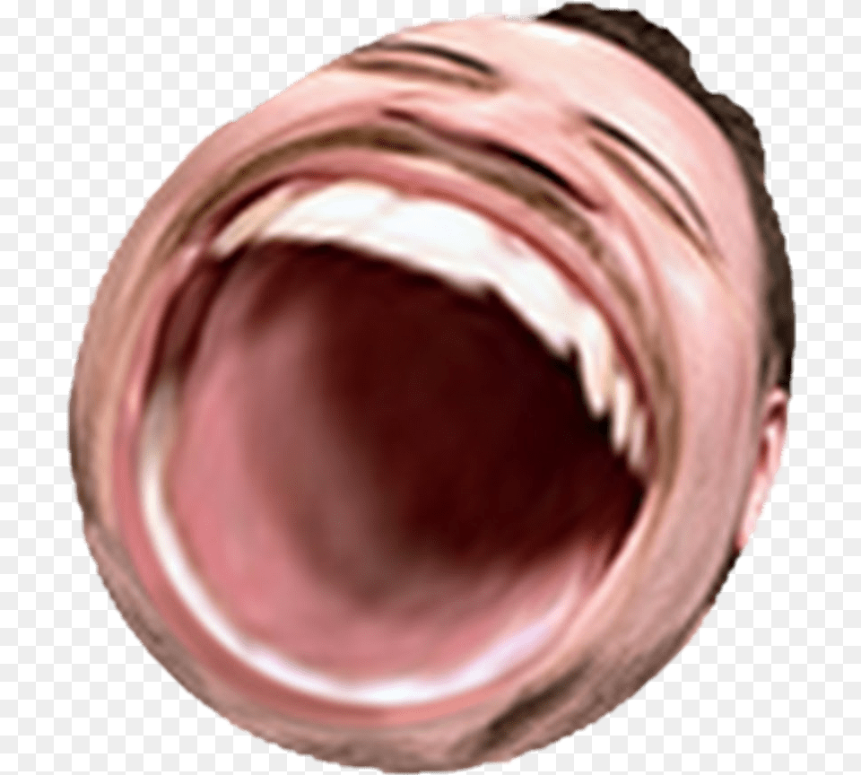 Hd Omegalul Discord Emoji Twitch Emotes Omegalul Emote Transparent, Body Part, Mouth, Person, Head Free Png Download