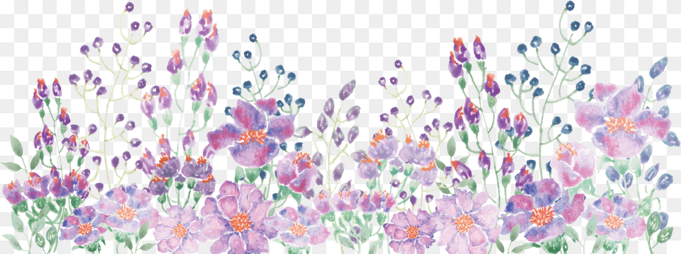 Download Free Hd Watercolor Painting Floral Design Purple Watercolor Flowers Free Png