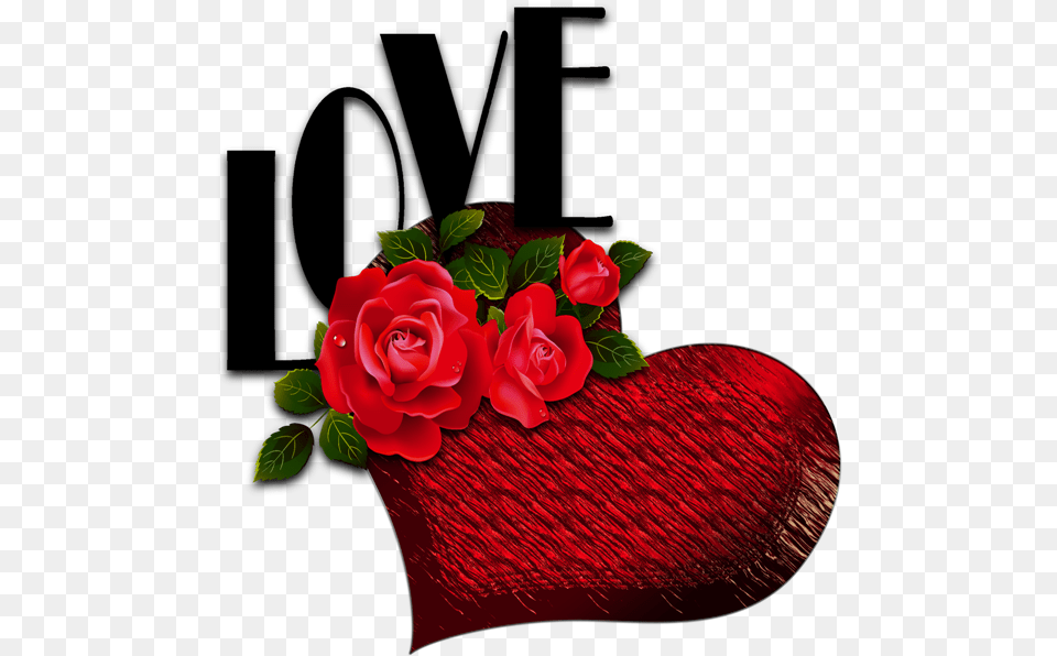 Download Free Heart Rose Background Dlpngcom Heart Love Red Rose, Flower, Plant, Petal Png