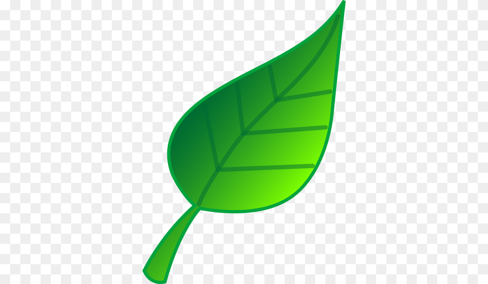 Download Images Image And Clipart, Leaf, Plant, Green Free Transparent Png