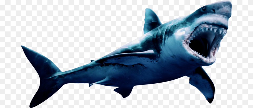 Megalodon Pic Geometric Shark Painting, Animal, Fish, Sea Life, Great White Shark Free Png Download
