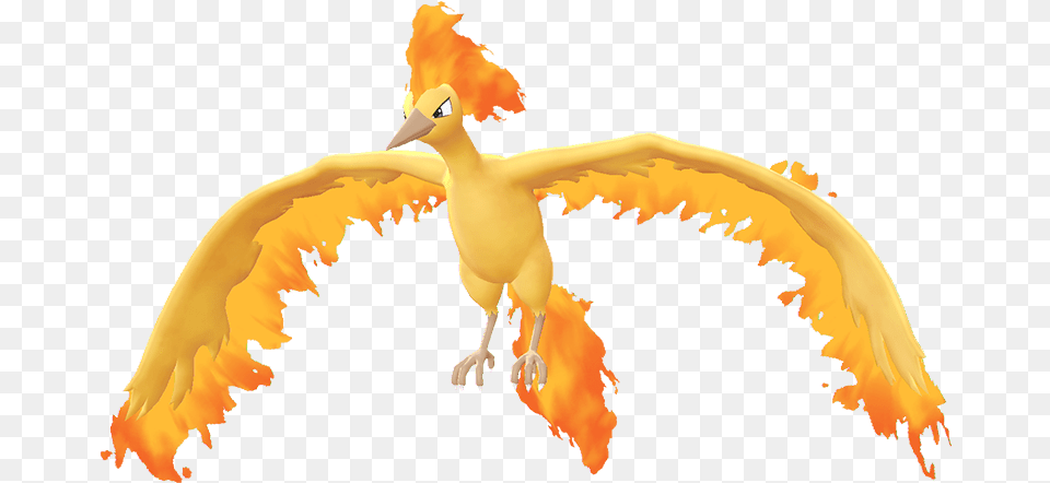 Download Free Moltrespng Pokmon Letu0027s Go Pikachu Moltres Pokemon Go, Baby, Person, Animal, Bird Png Image