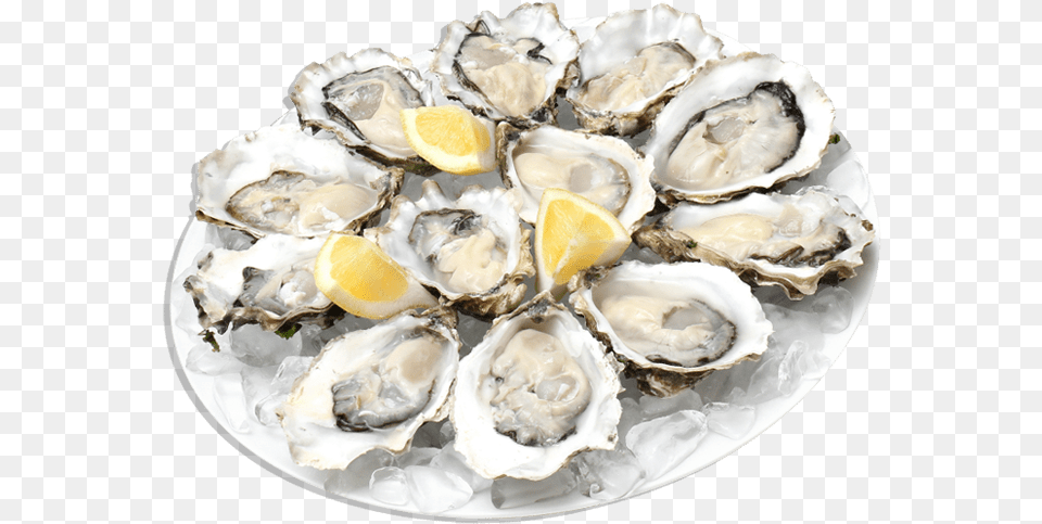 Oysters Oysters, Seafood, Food, Animal, Sea Life Free Png Download