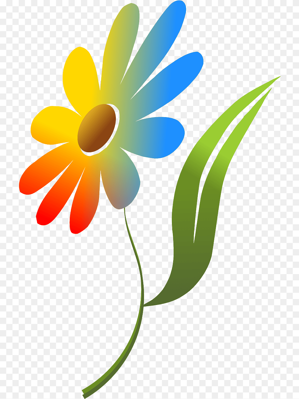 Download Photo Of Flowernaturecolorfulredblue Colorful Flower Image, Daisy, Petal, Plant, Animal Free Transparent Png