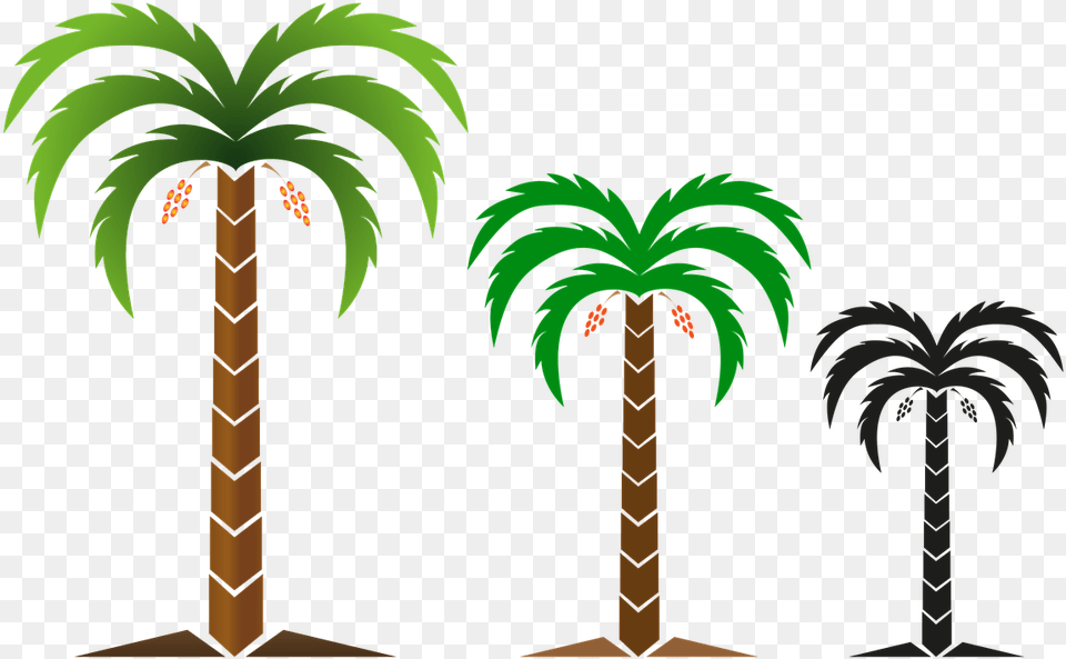 Photo Of Tree Nature Image Logo Dates Tree Logo, Palm Tree, Plant, Vegetation Free Png Download