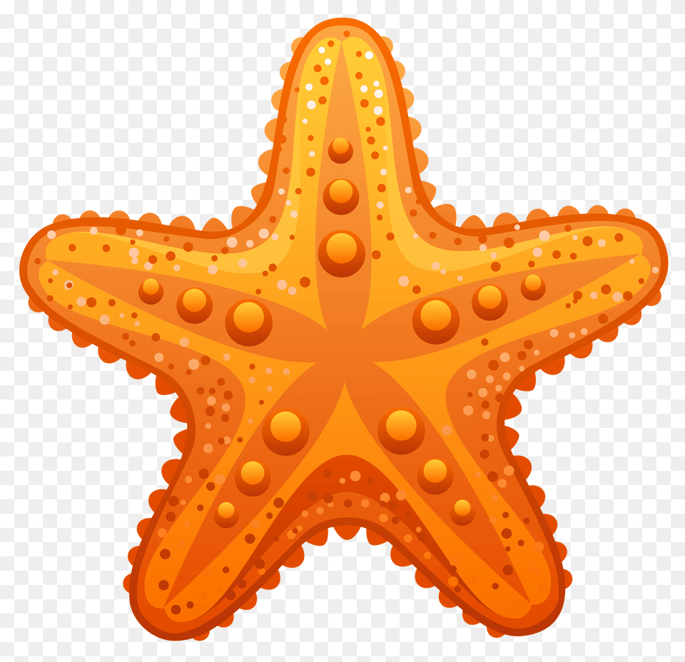 Download Free Pin By Ilana G Sea Star Clip Art, Animal, Sea Life, Invertebrate, Starfish Png