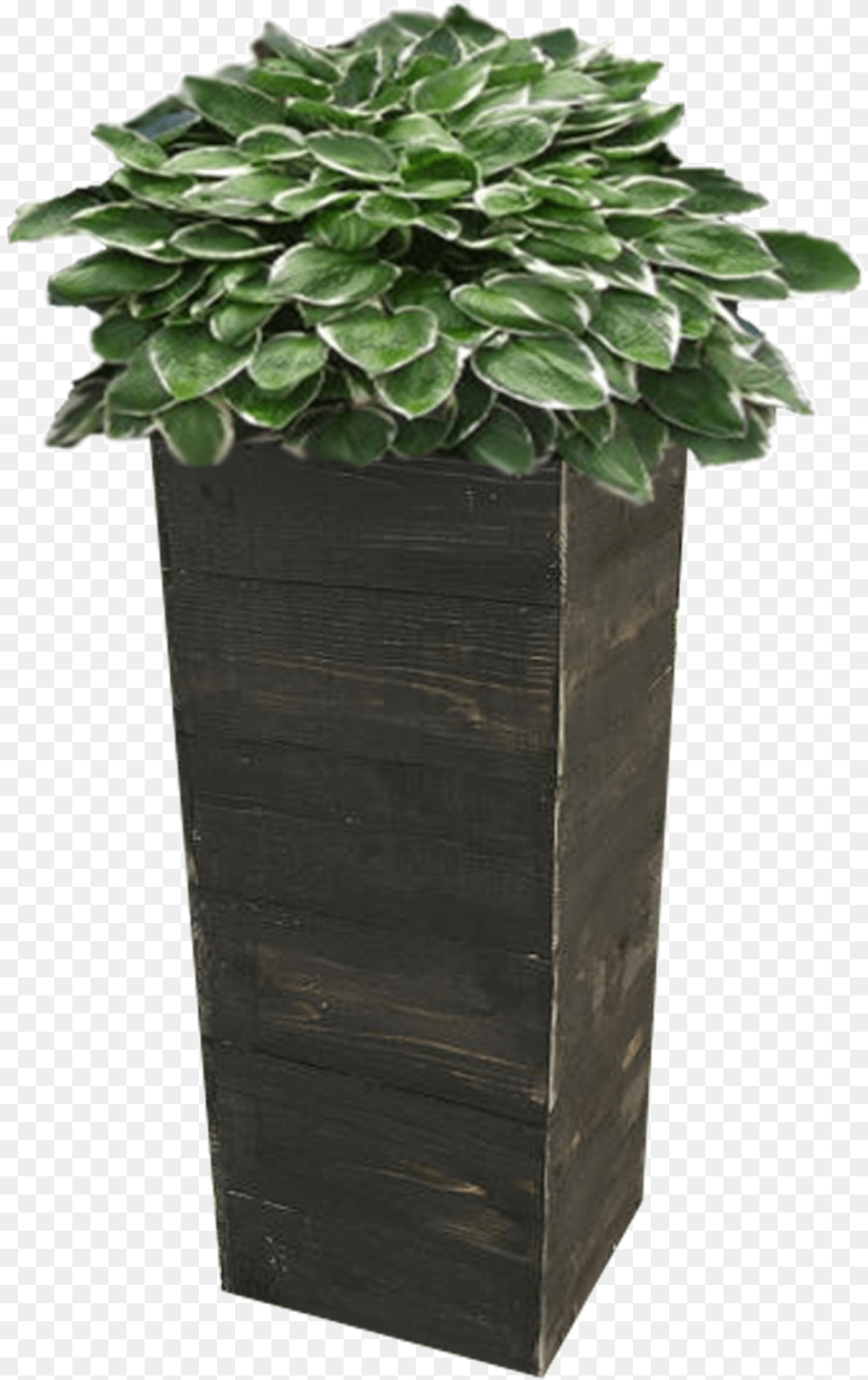 Planter, Jar, Plant, Potted Plant, Pottery Free Png Download