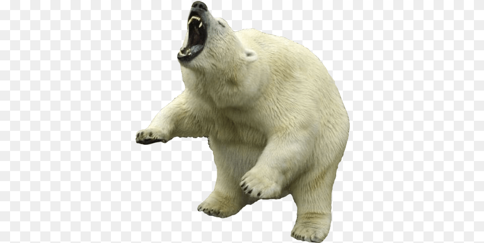 Download Free Polar Bear Clipart Icon Angry Polar Bear, Animal, Mammal, Wildlife, Polar Bear Png Image