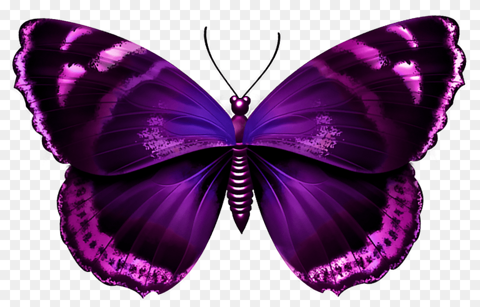 Download Purple Butterfly Butterfly Purple And Pink, Person, Animal, Insect, Invertebrate Free Transparent Png