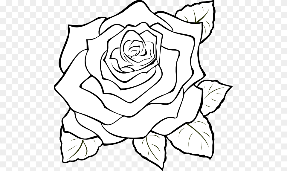 Rose Outline Transparent Rose Outline, Art, Flower, Plant, Drawing Free Png Download