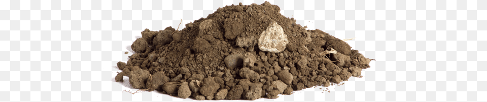 Download Stone Picture, Soil, Powder, Teddy Bear, Toy Free Transparent Png