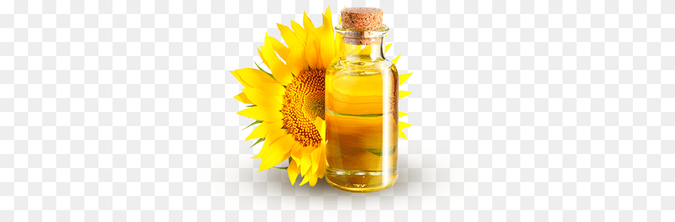 Download Free Sunflower Oil With Sunflower Oil, Bottle, Cosmetics, Flower, Perfume Png Image