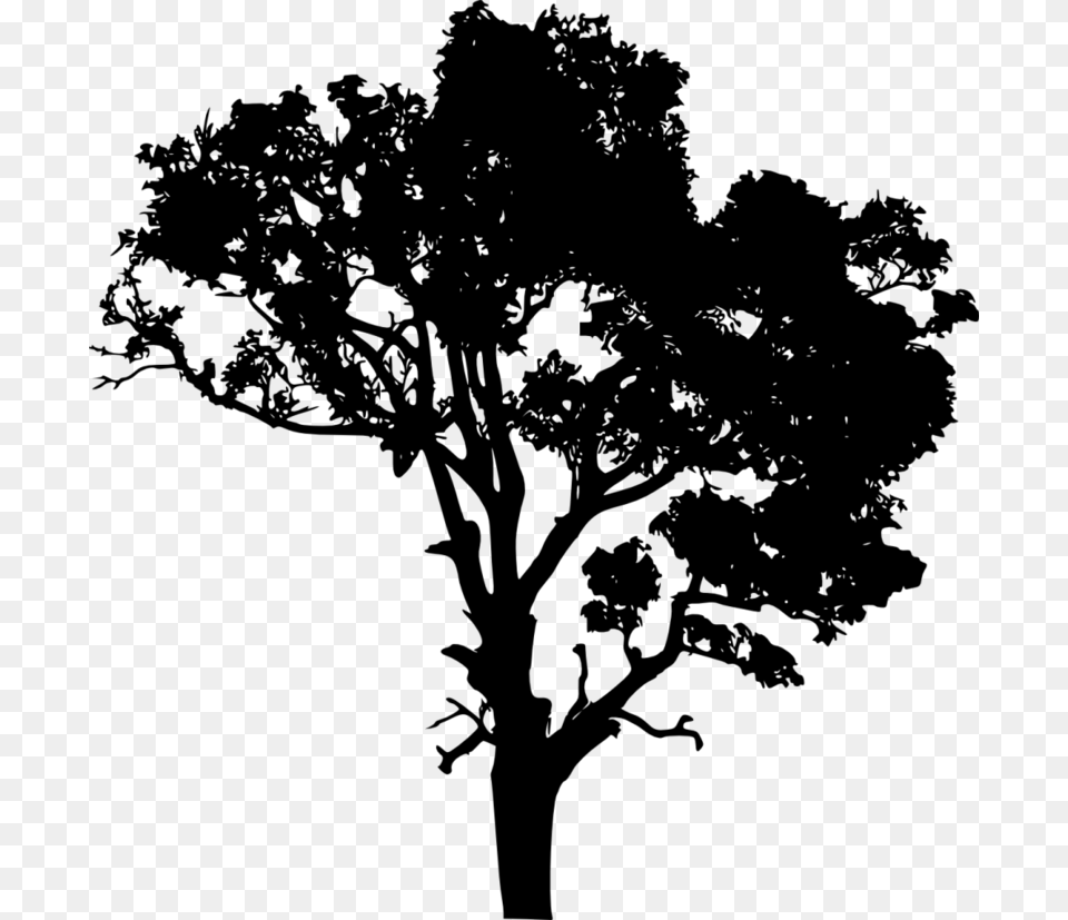 Download Free Tree Silhouette, Gray Png