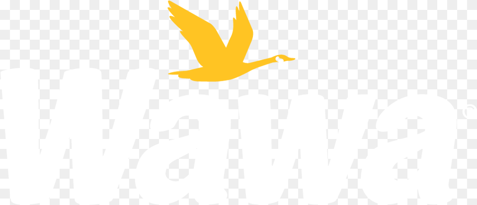 Wawa Logo Wawa Logo, Animal, Bird, Goose, Waterfowl Free Png Download
