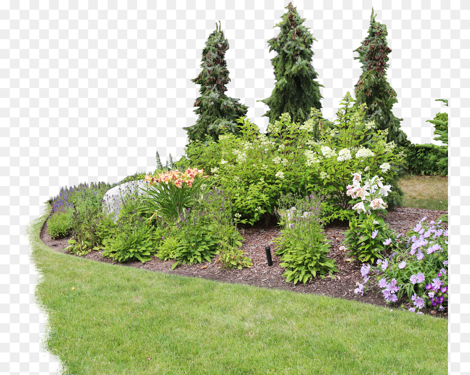Download Free Yard U0026 Garden Maintenance Lansing Mi Flower Garden Garden Transparent, Tree, Grass, Plant, Nature Png Image