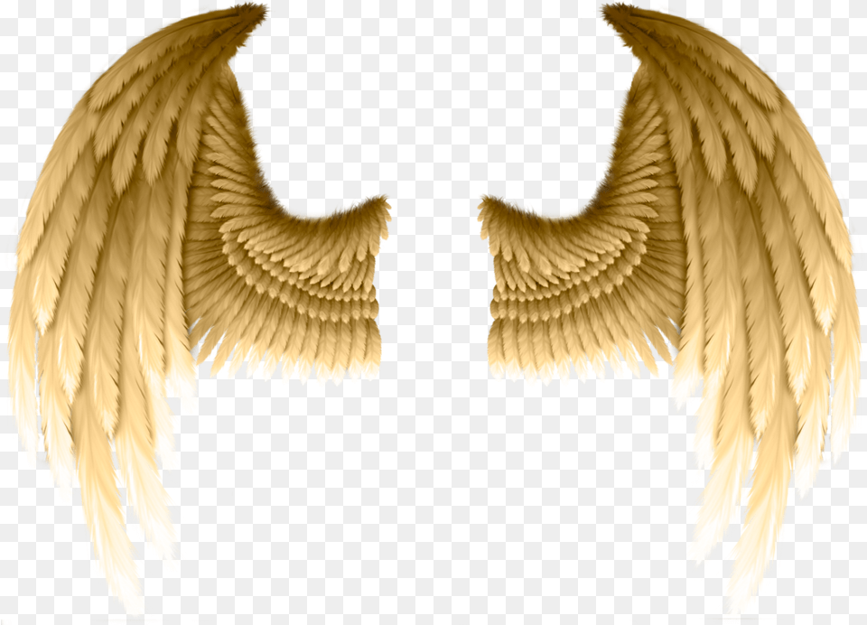 Download Freetoedit Ftestickers Dt Angelwings Wings Transparent Gold Angel Wings, Animal, Bird, Logo, Astronomy Free Png