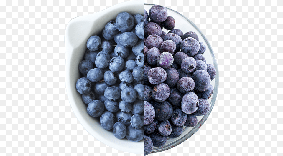Fresh Or Frozen Blueberries Blueberry Image Blueberry, Berry, Food, Fruit, Plant Free Png Download