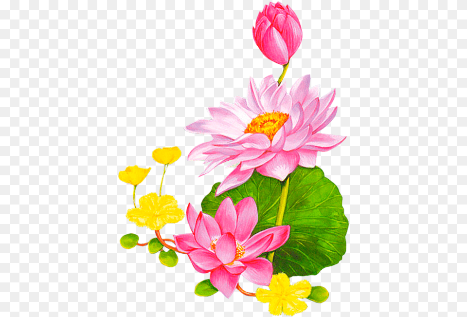 Download Friendship Flowers Vintage Diy Lotus Clipart Lotus Cartoon, Flower, Petal, Plant, Anther Png