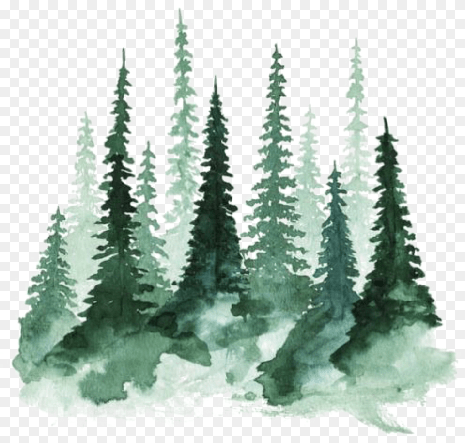 Ftestickers Watercolor Trees Christmas Tree Watercolor, Pine, Fir, Plant, Vegetation Free Png Download