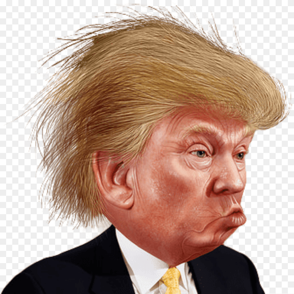 Funny Caricature Trump Color Face Hair Donald Hq Donald Trump Funny Cartoon, Woman, Adult, Female, Portrait Free Png Download
