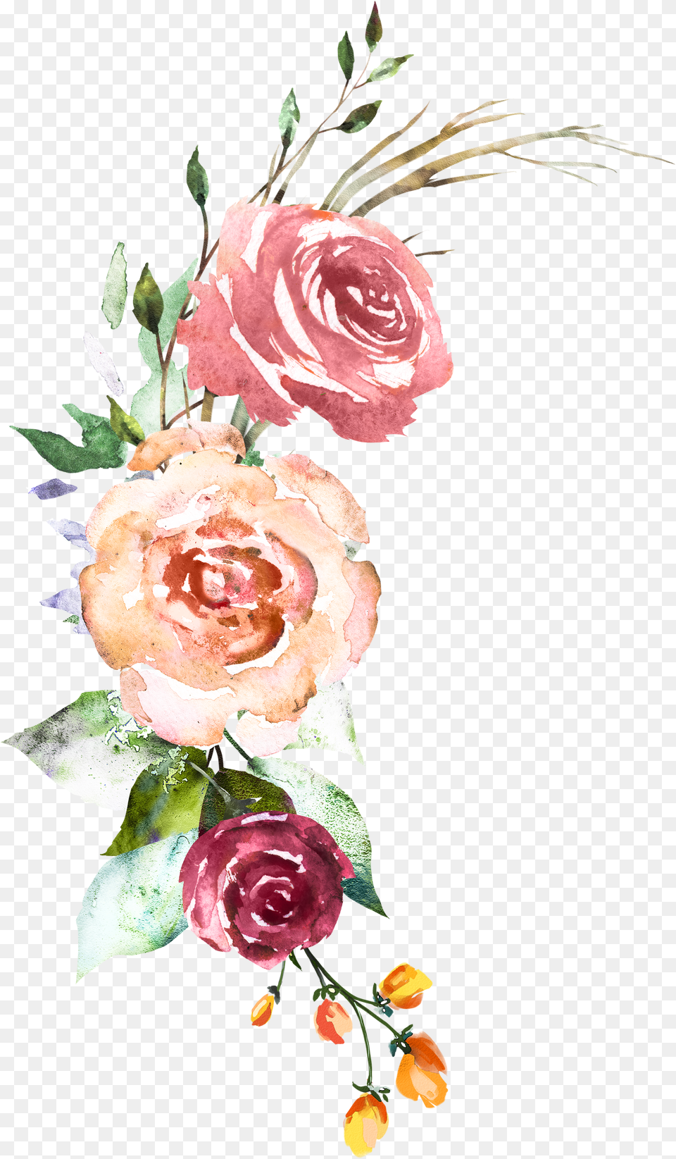 Download Garden Roses Hd Uokplrs Free Png