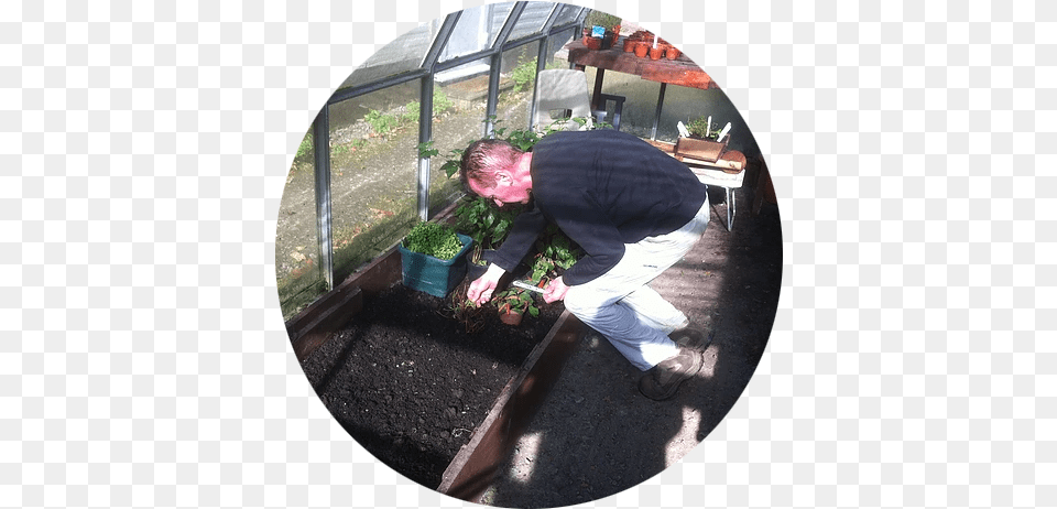 Gardening Greenhouse, Adult, Man, Nature, Outdoors Free Png Download