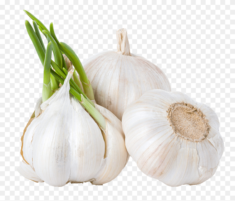 Download Garlic Background Clipart Food, Produce, Plant, Vegetable Free Transparent Png