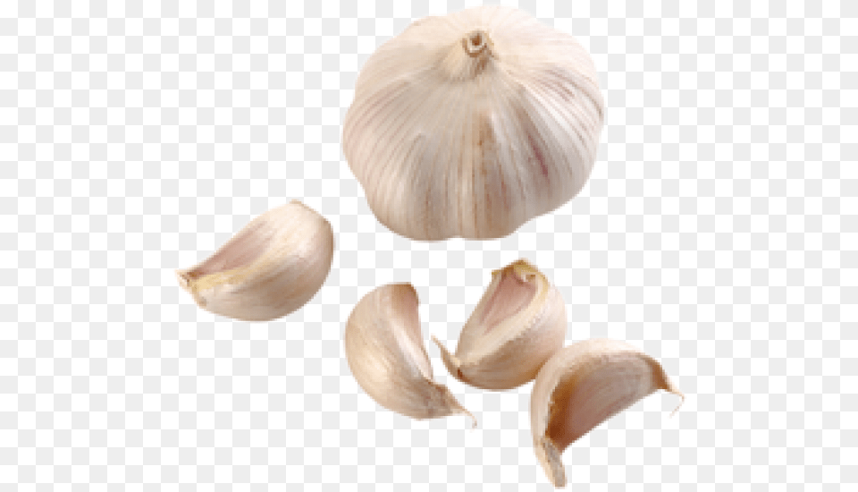 Download Garlic Image Garlic, Food, Produce, Plant, Vegetable Png