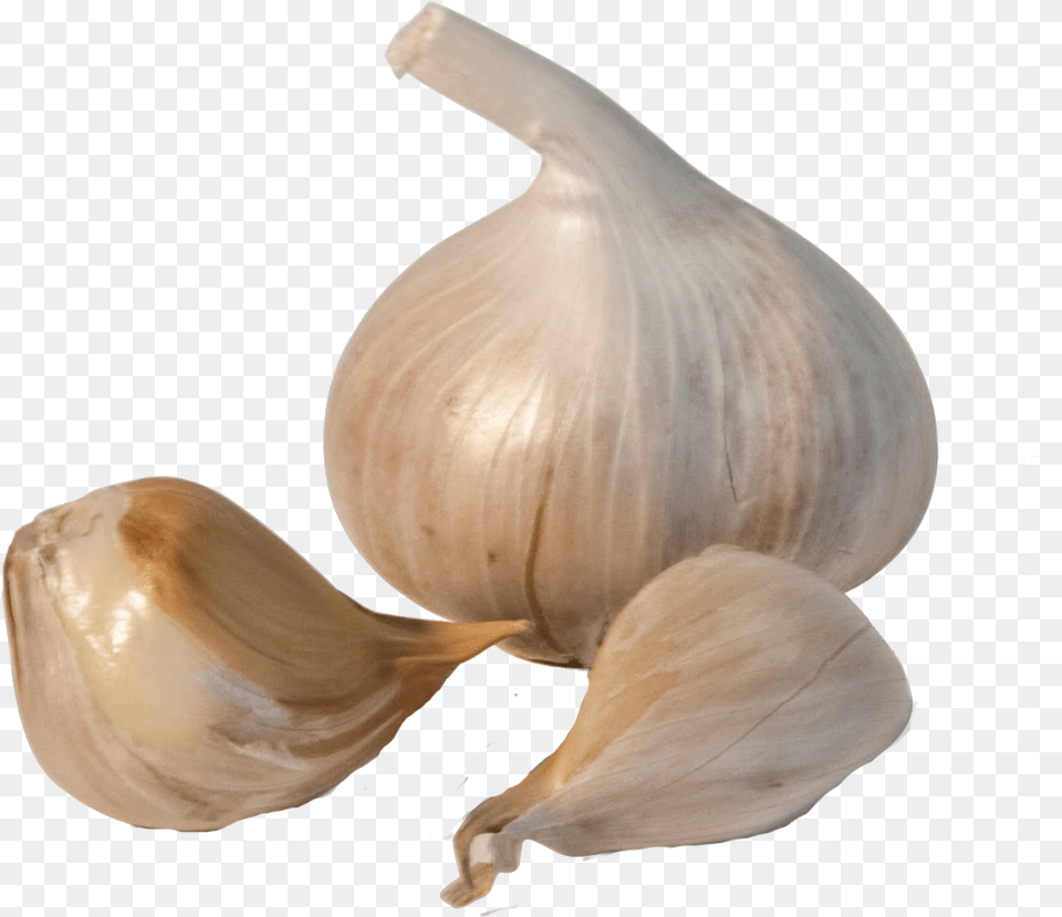Download Garlic Transparent Image Garlic Transparent, Food, Produce, Plant, Vegetable Free Png