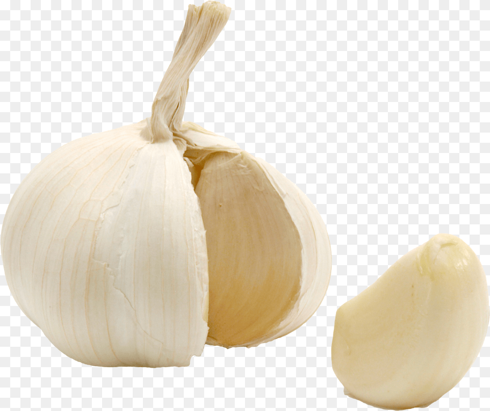 Download Garlic With No Garlic Clove Transparent Background, Food, Produce, Plant, Vegetable Png Image