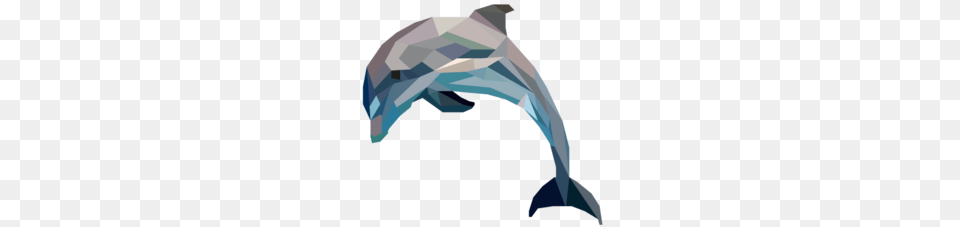 Download Geometric Dolphin Clipart Geometry Miami Dolphins, Animal, Mammal, Sea Life Free Transparent Png