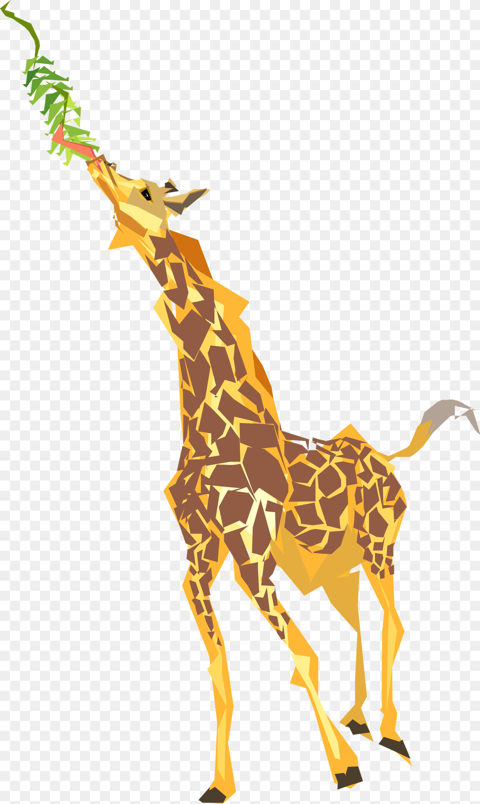 Download Giraffe Eating Leaves Clipart, Animal, Mammal, Wildlife, Kangaroo Png Image