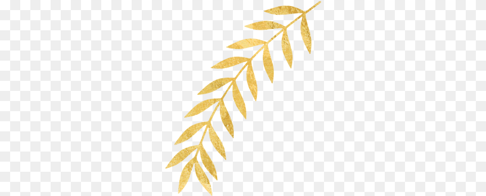 Download Gold Leaves Image With Twig, Leaf, Plant, Pattern, Tree Png