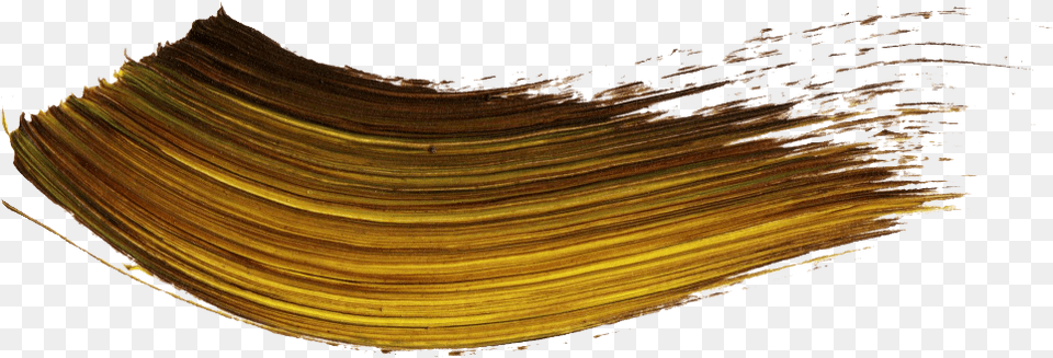 Download Gold Paint Stroke Macro Photography, Wood, Animal, Clam, Food Free Transparent Png