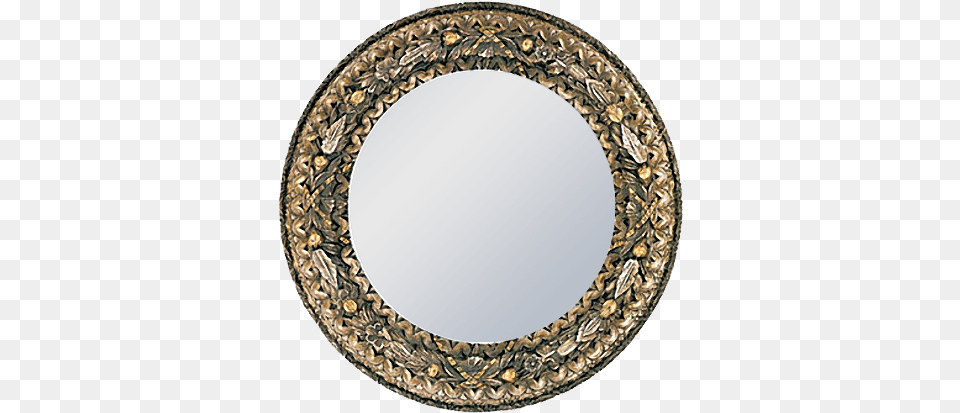 Gold Silver Round Mirror Circle, Photography, Oval, Fisheye, Person Free Png Download