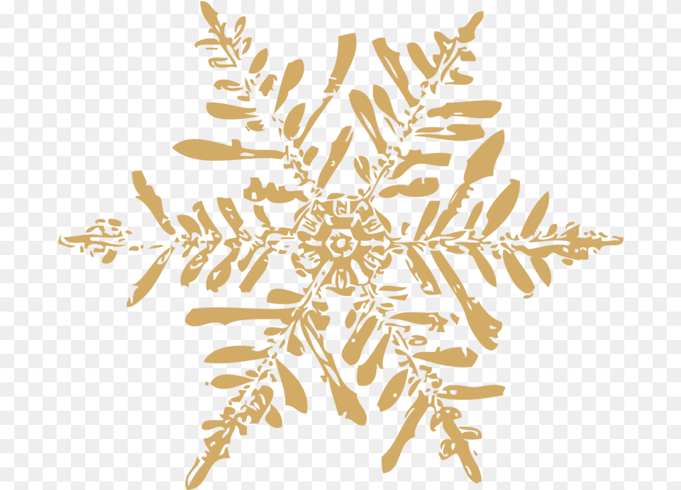 Download Gold Snowflake 35 Mm Universal Plugjack Wired Decorative, Nature, Outdoors, Snow, Person Free Transparent Png