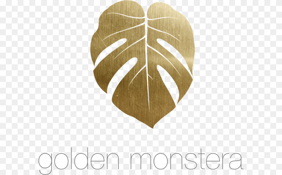 Download Golden Monstera, Leaf, Plant, Home Decor, Animal Free Png