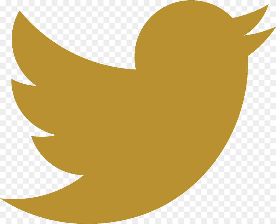 Download Golden Twitter Logo With No Gold Twitter Logo Transparent Background, Astronomy, Moon, Nature, Night Png Image