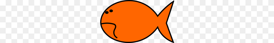 Goldfish Clip Art Clipart Goldfish Clip Art Orange, Animal, Fish, Sea Life, Disk Free Png Download