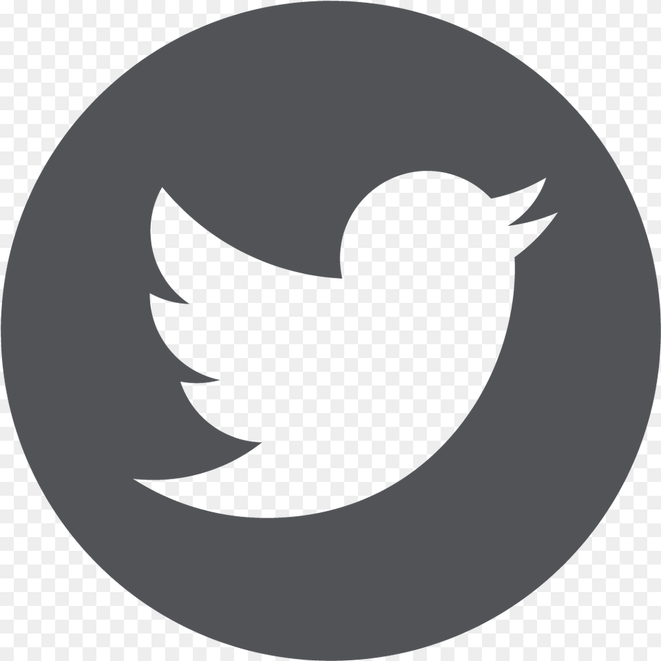 Download Google Plus Icon Twitter Logo Black No Twitter Icon Black, Animal, Bird, Blackbird, Silhouette Png Image