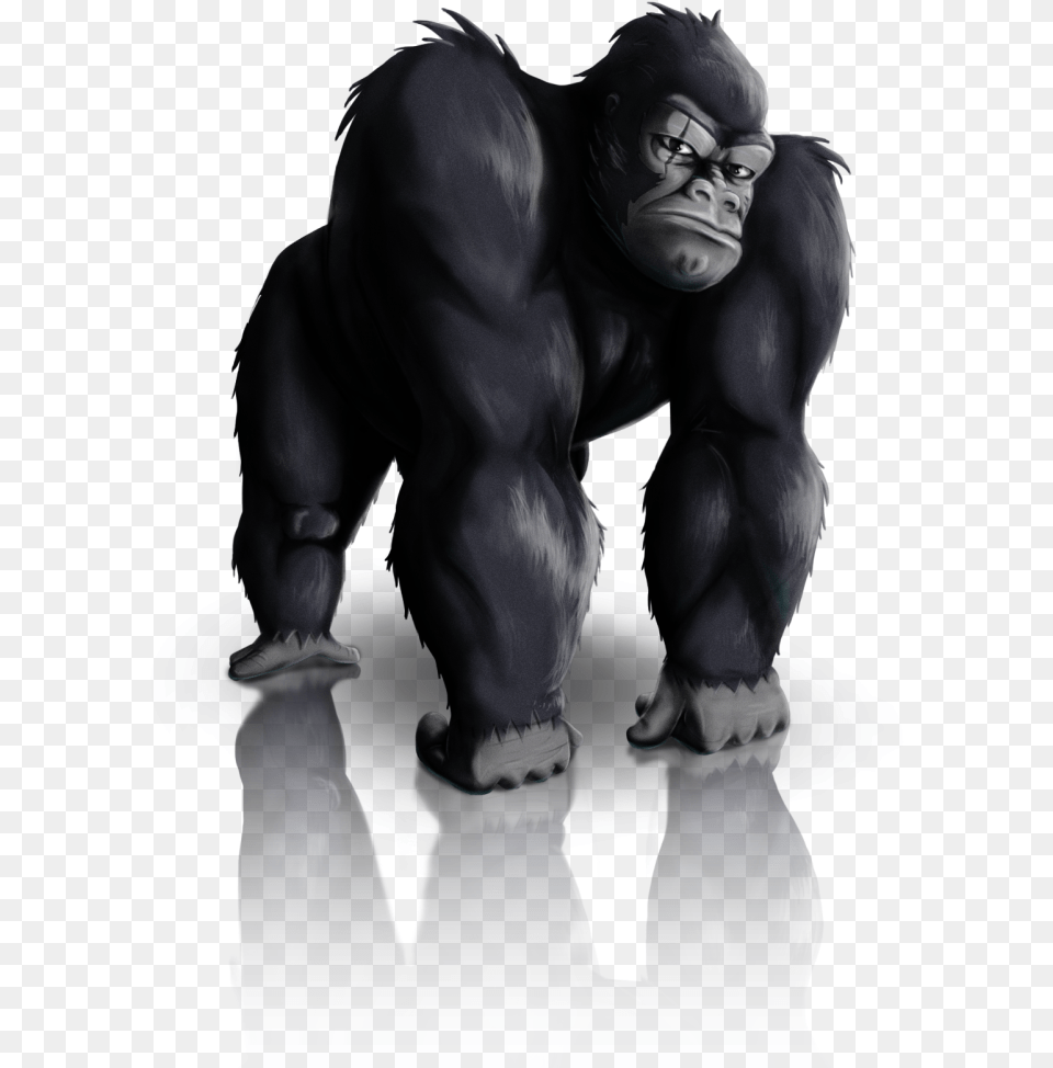 Download Gorilla Latest Silverback Gorilla Cartoon, Wildlife, Animal, Ape, Mammal Free Transparent Png