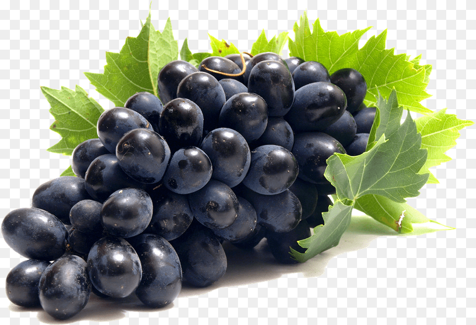 Download Grape Grape, Food, Fruit, Grapes, Plant Png Image