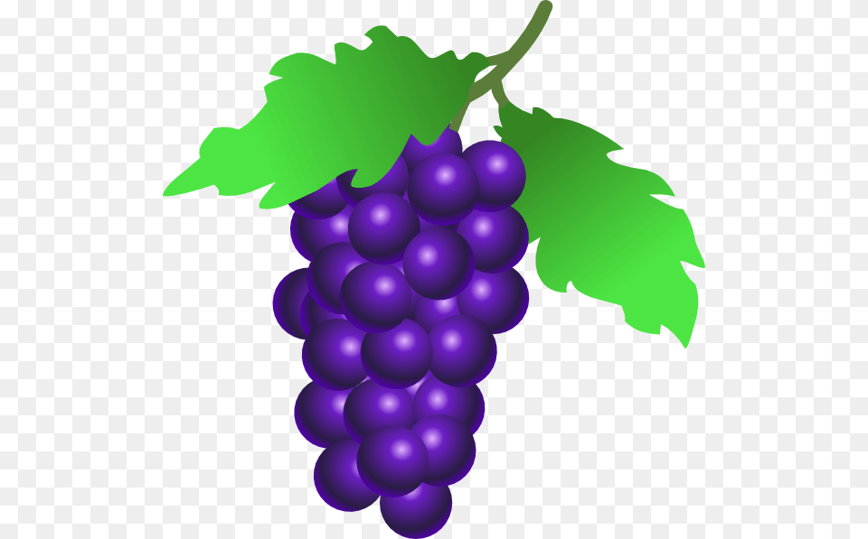 Download Grapes Vine Clipart, Food, Fruit, Plant, Produce Free Transparent Png