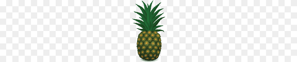 Download Grass Photo And Clipart Freepngimg, Food, Fruit, Pineapple, Plant Free Transparent Png
