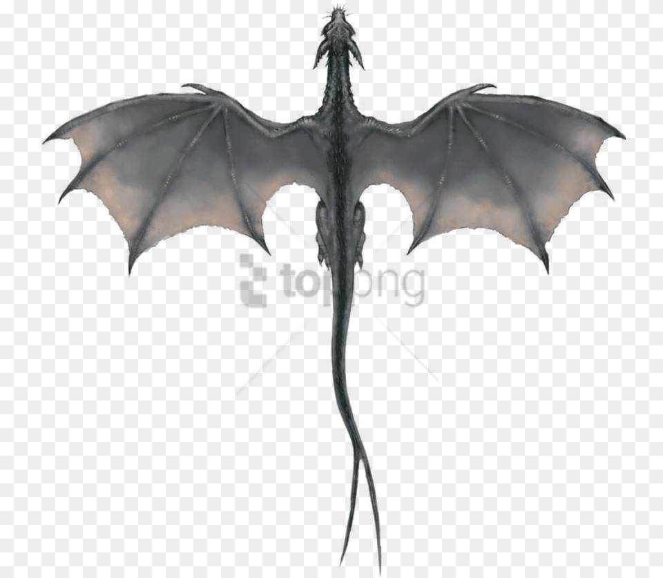 Download Gray Dragon Image Flying Game Of Thrones Dragons, Cross, Symbol Png