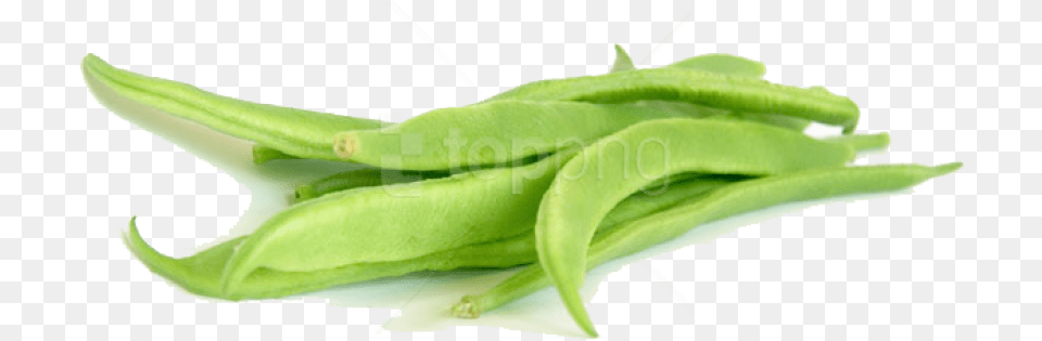 Download Green Beans Images Background Flat Beans, Bean, Food, Plant, Produce Png