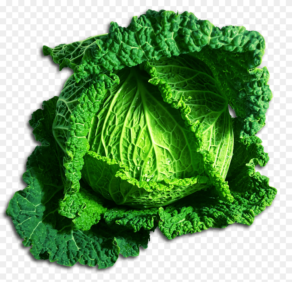 Green Cabbage Choux, Food, Leafy Green Vegetable, Plant, Produce Free Png Download