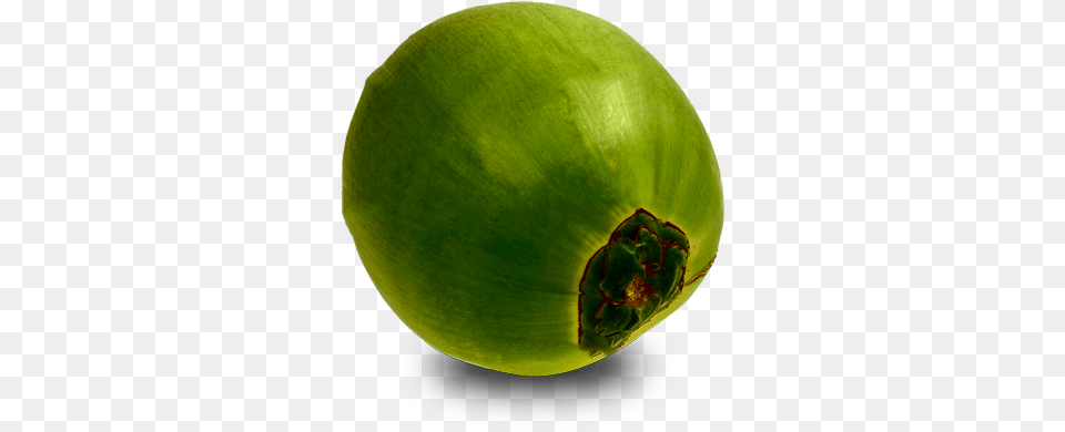 Download Green Coconut Papaya, Produce, Food, Fruit, Plant Png Image